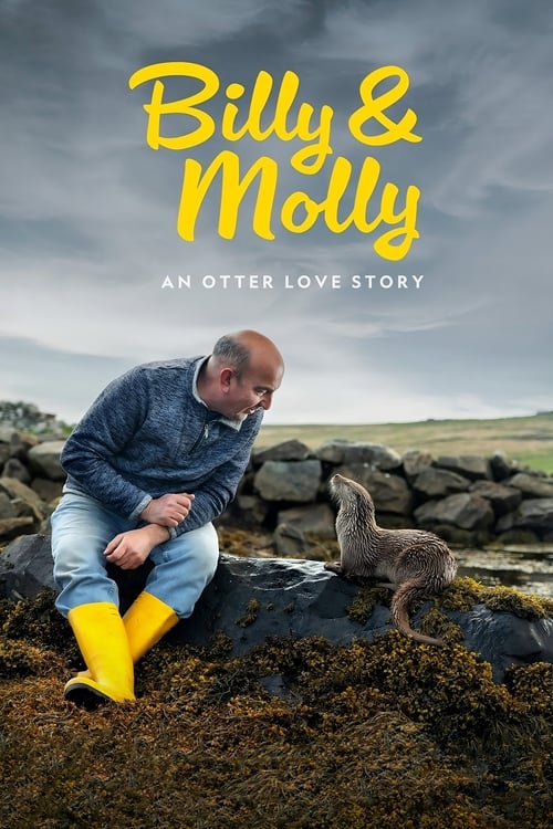 Billy ve Molly: Bambaşka Bir Sevginin Hikayesi